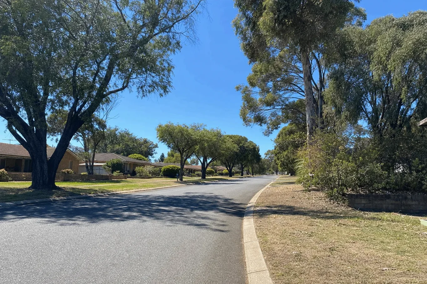 Established Calista street with mature trees served by Frecks Plumbing & Gas