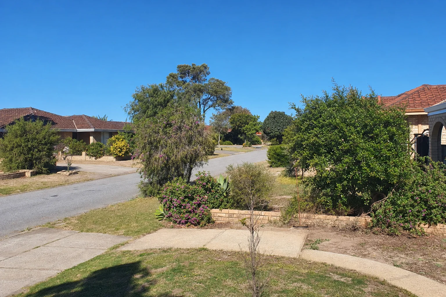 Established residential street in Cooloongup served by Frecks Plumbing & Gas