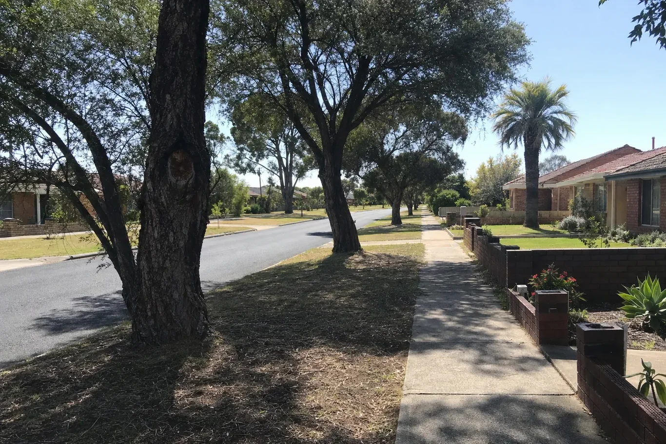 Established Orelia residential street served by Frecks Plumbing & Gas